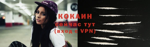 ешки Аркадак