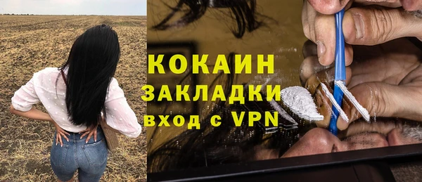 ешки Аркадак