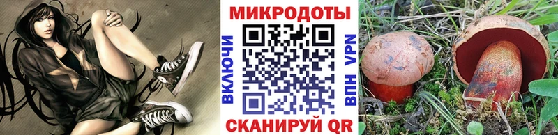 дарнет шоп  Пошехонье  Псилоцибиновые грибы мицелий 